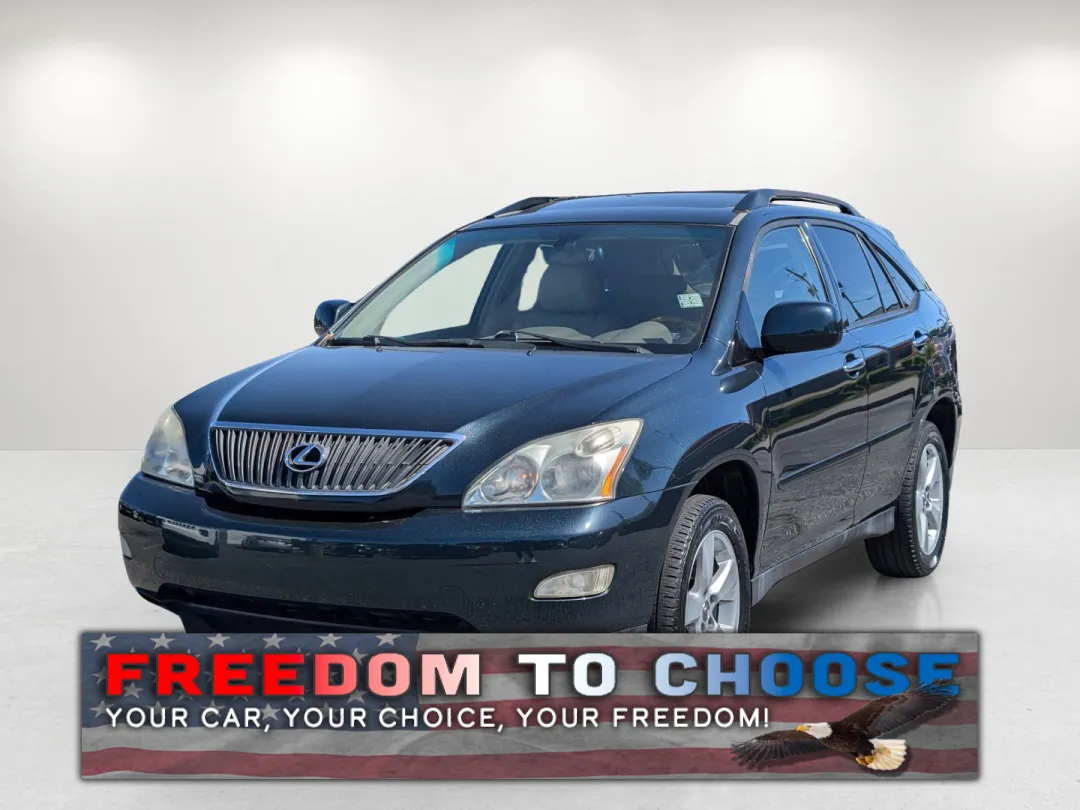 2004 Lexus RX 330 - JTJGA31U940006946 - Image #1