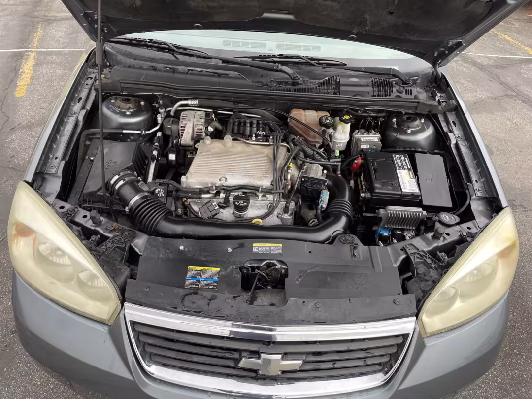 2005 Chevrolet Malibu - 1G1ZT52805F316168 - Image #16