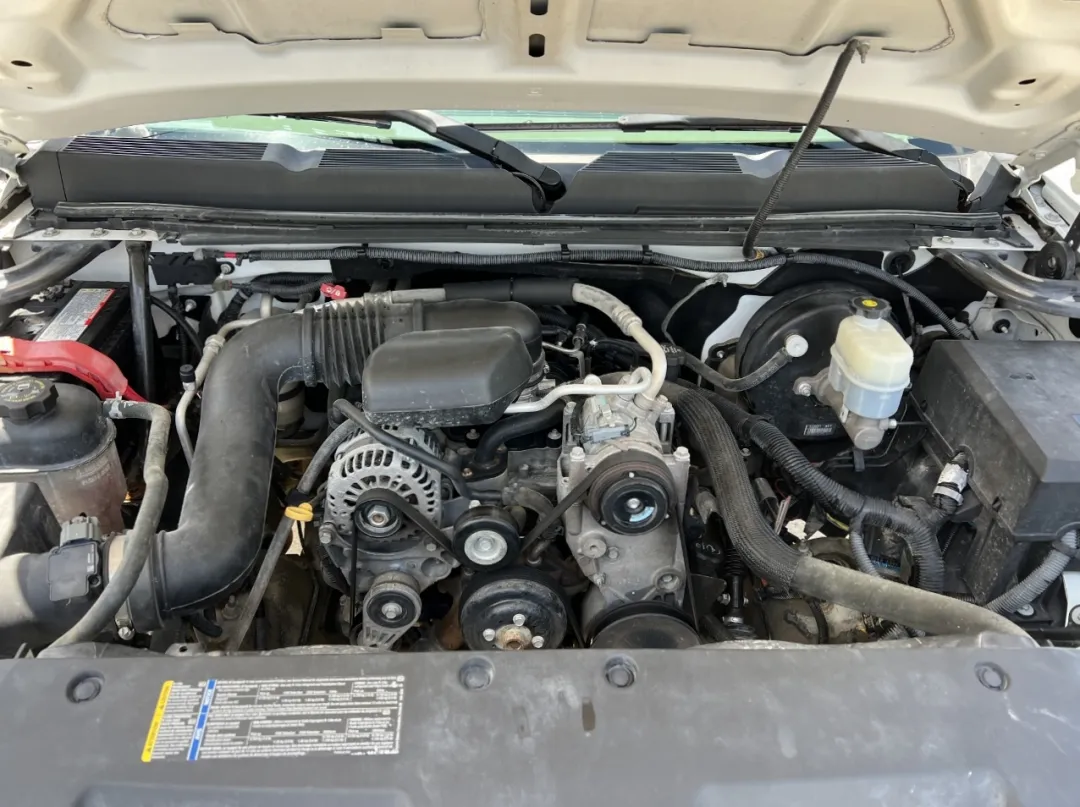2009 Chevrolet Silverado 1500 - 1GCEC14X49Z194485 - Image #23