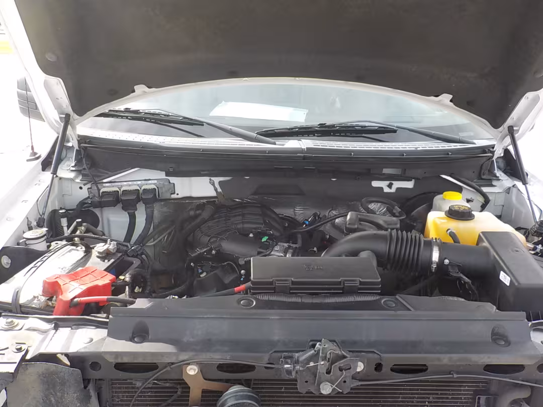2014 Ford F-150 - 1FTEX1CMXEKG33963 - Image #17