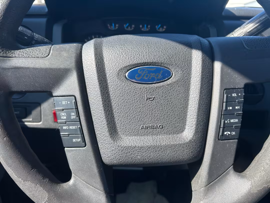 2014 Ford F-150 - 1FTMF1CM2EKD41707 - Image #10