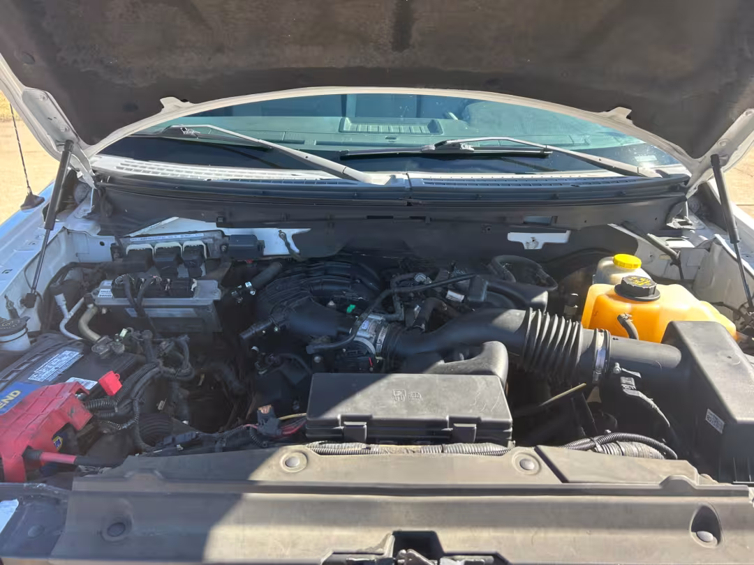 2014 Ford F-150 - 1FTMF1CM2EKD41707 - Image #19