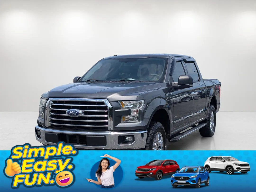 2016 Ford F-150 - 1FTEW1EG7GKE39503 - Image #1