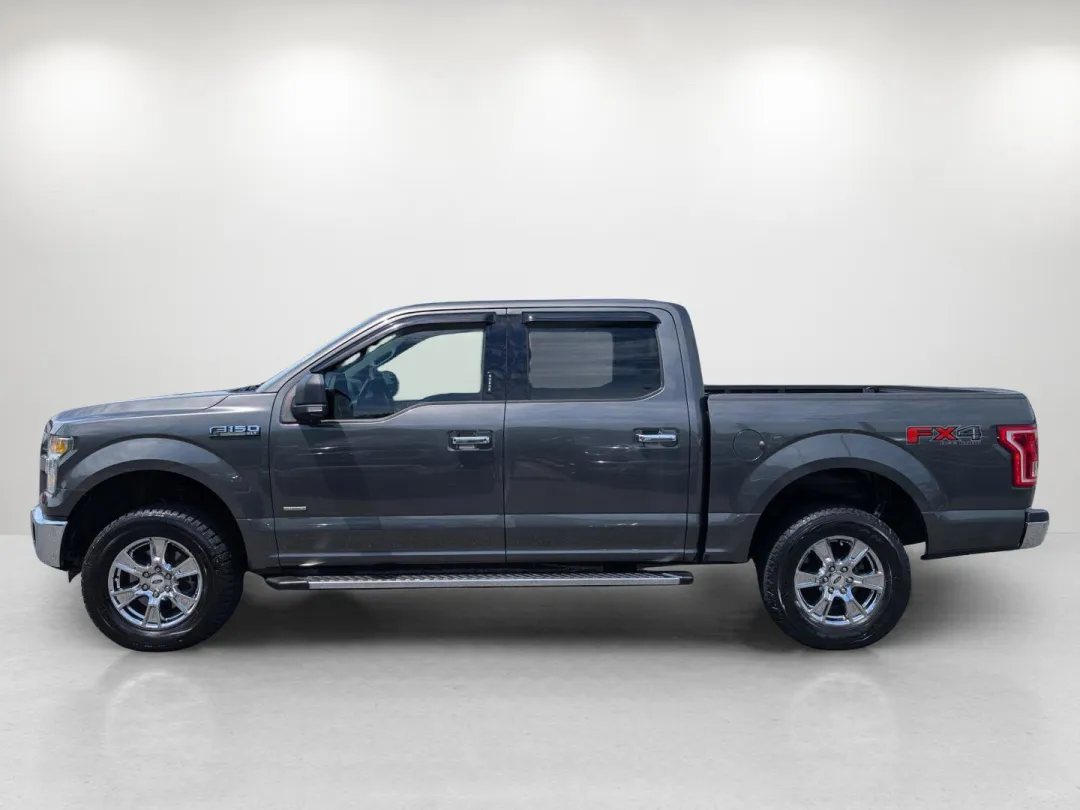 2016 Ford F-150 - 1FTEW1EG7GKE39503 - Image #3