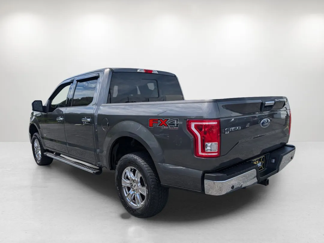 2016 Ford F-150 - 1FTEW1EG7GKE39503 - Image #4