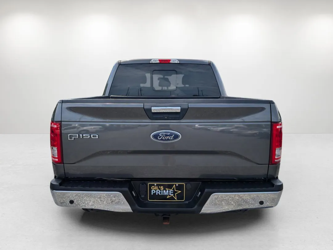 2016 Ford F-150 - 1FTEW1EG7GKE39503 - Image #5