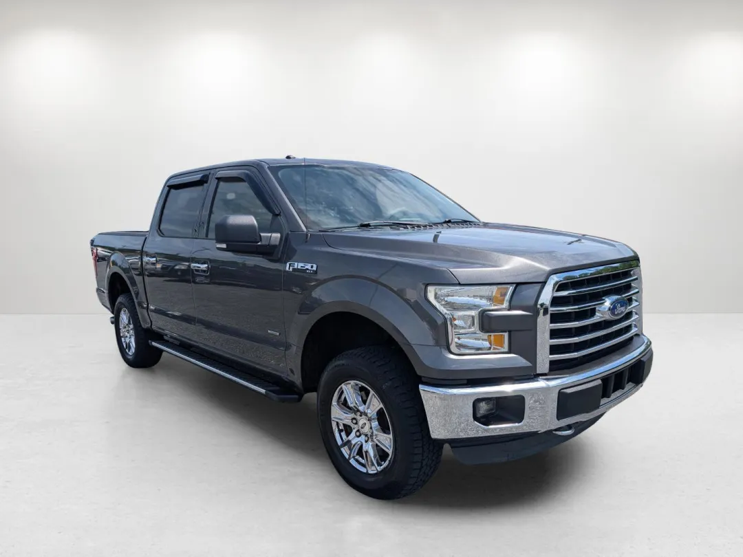 2016 Ford F-150 - 1FTEW1EG7GKE39503 - Image #8
