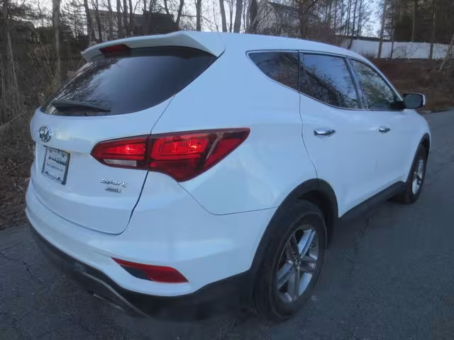 2018 Hyundai Santa Fe - 5NMZTDLB4JH073764 - Image #3