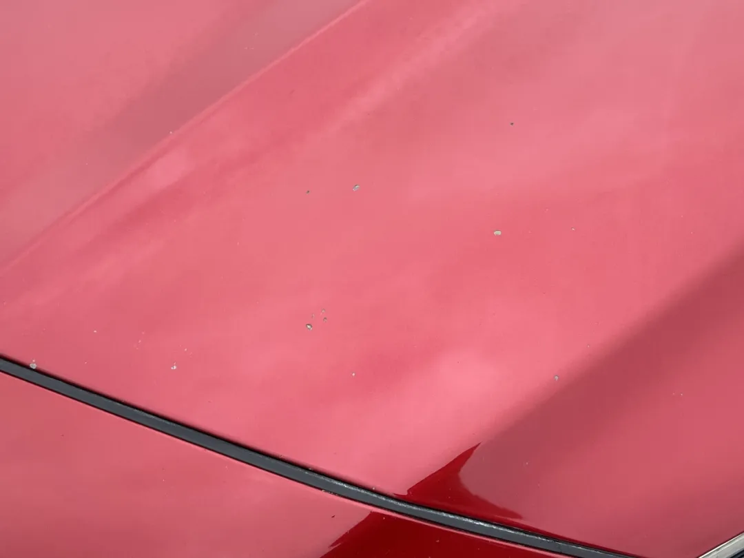 2019 Hyundai Sonata - 5NPE34AF4KH772823 - Image #42