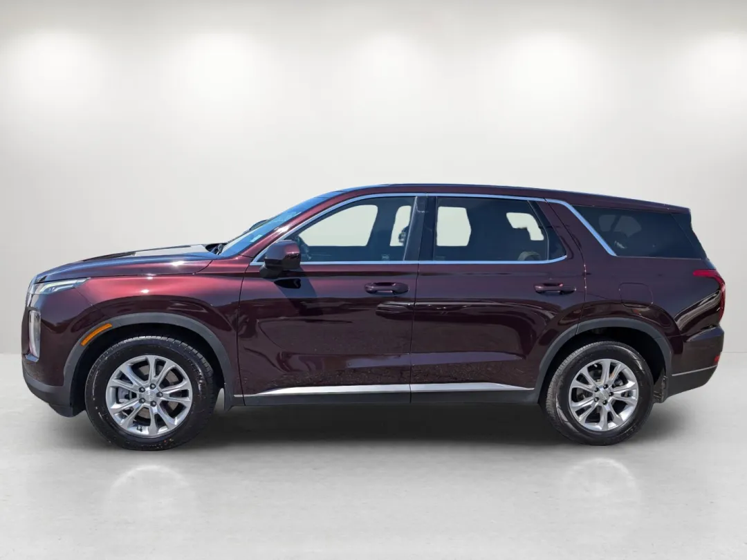 2021 Hyundai Palisade - KM8R1DHE1MU196407 - Image #9