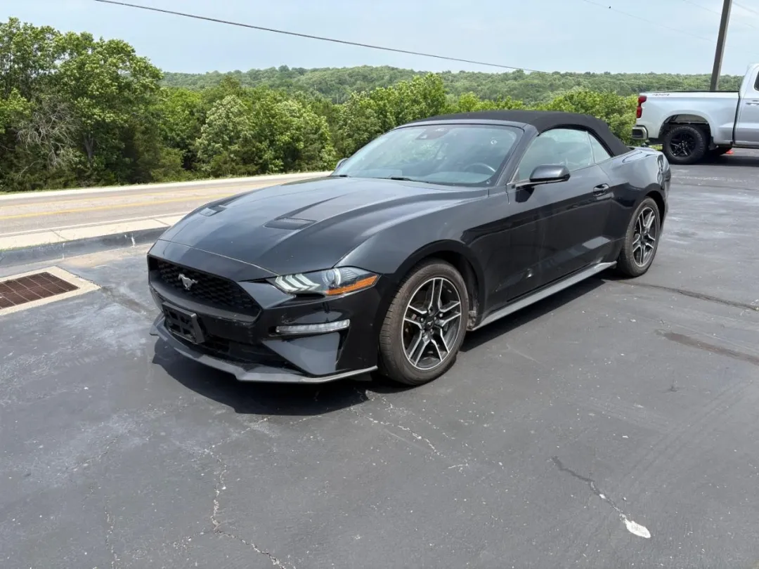 2022 Ford Mustang - 1FATP8UH9N5119558 - Image #1