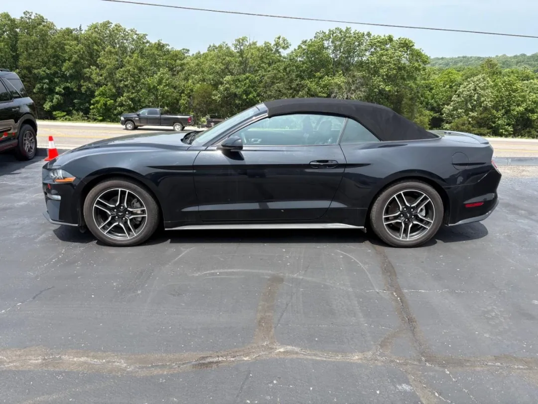 2022 Ford Mustang - 1FATP8UH9N5119558 - Image #2